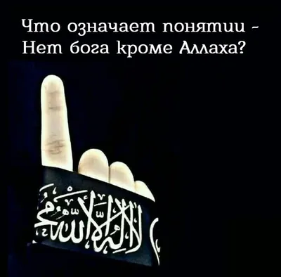 Всевышний Аллах – что мы обязаны знать о Нём? | islam.ru