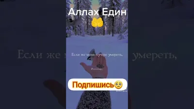 Аллах Един 💓🤲☝️ | TikTok