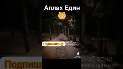 аллах един / смешные картинки и другие приколы: комиксы, гиф анимация,  видео, лучший интеллектуальный юмор.