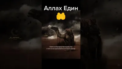 КОРАН СУННА - ✏️ Шейх 'Абдур-Раззак аль-Бадр (حَفِظَهُ... | Facebook