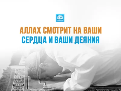 Аллах прекрасен | islam.ru