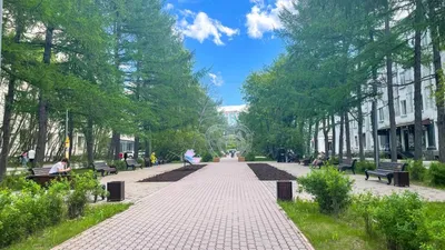 VisitPrussia.com — По «зелёным коридорам»: придорожные аллеи  Калининградской области