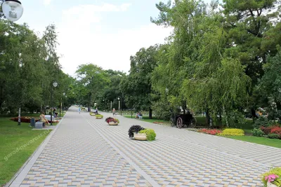 Парковая аллея на ул. Советов в Новороссийске – фото, видео, описание