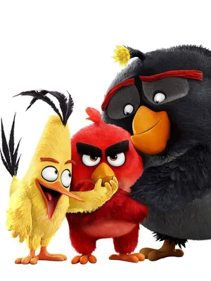 Angry Birds - Watch Free on Pluto TV United States