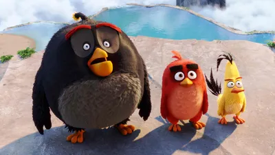 Which is the weakest in the original angry birds? : r/angrybirds