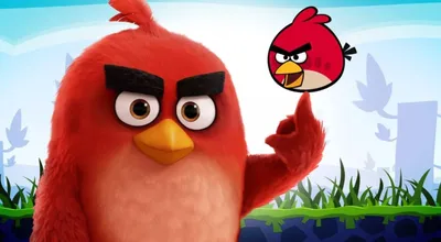 Angry Birds' Franchise: IMG to be Exclusive Publishing Agent