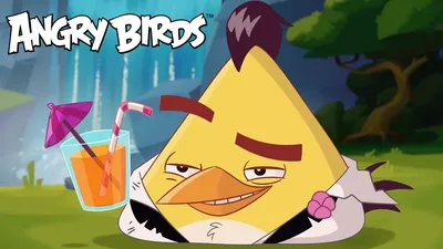 The Angry Birds' anger is rooted in Aristotelian philosophy, claims  director | The Independent | The Independent