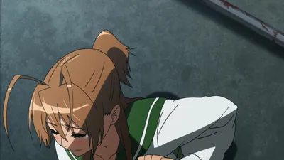 Highschool of the Dead / Аниме