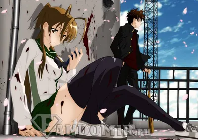 Смотри Аниме Школа Мертвяков [ТВ] | High School of the Dead [TV] | Gakuen  Mokushiroku: High School of the Dead онлайн