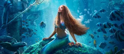 Обои принцесса Ариэль. | Melody little mermaid, Disney princess art,  Instagram cartoon