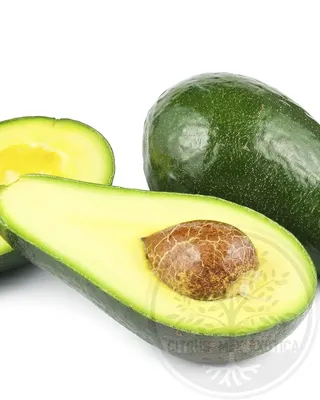 Простой рисунок авокадо - 62 фото