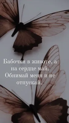 Бабочки в животе» — Beagle