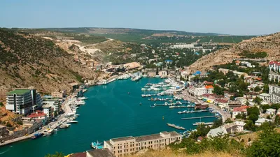Балаклава Гюрза, Чёрная купить по цене 990 рублей с доставкой