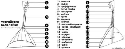 23 июня - День балалайки\" | МБУК \"Гуманитарный центр - библиотека имени  семьи Полевых\"