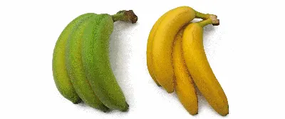 Картинки банана фотографии