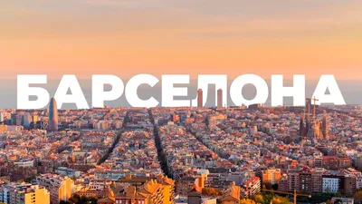 Барселона» и «Порту» объявили стартовые составы на матч Лиги чемпионов