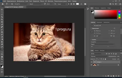 Как удалить фон с фотографии: инструкция по вырезанию фона с помощью  Photoshop и других программ