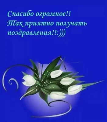 С благодарностью и уважением: поздравления с Днем рождения для зрелого  мужчины, вдохновляющего окружающих | ПОЗДРАВЛЕНИЯ.ru | Дзен