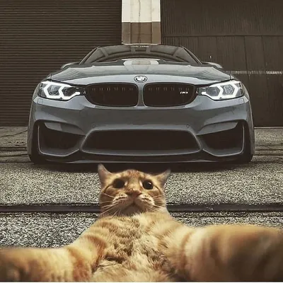 Обои на телефон \"BMW\" | Обои на телефон | Дзен