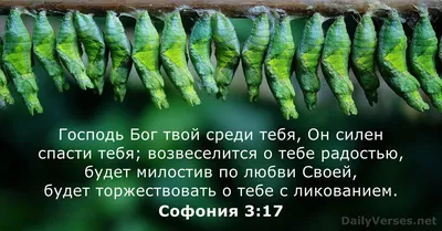 Только что услышал мысль от одной женщины: \"Вот правильно говорят, что Бог  всё видит. Даже в вашем / третий закон Кларка :: Бог все видит :: бон все  видит :: антирелигия (демотиваторы