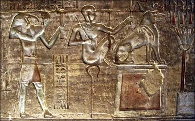 Почему египетский бог Тот - птица, и о каком качестве древнего знания это  говорит. | Ярилин двор | Дзен