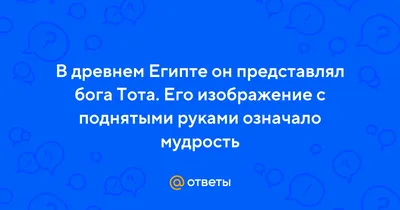 Композиция египетского бога тота с изображением аватара древнего бога с  клювом, украшенным цветочными орнаментами, векторная иллюстрация | Премиум  векторы