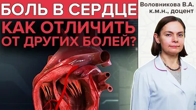 Как болит сердце? Симптомы, которые нельзя игнорировать. Сеть медицинских  центров и МЦ «Здоровье» в Москве.