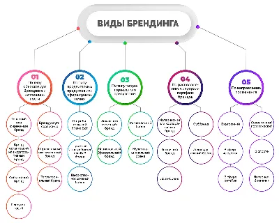 История названий: популярные бренды | Эрудит.Онлайн | Дзен