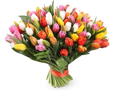 Букет на 8 марта - 31 шт. за 17 690 руб. | Бесплатная доставка цветов по  Москве
