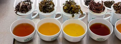 20 вопросов и ответов о чае. Свойства чая - TeaTerra | TeaTerra