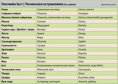 ВЫСТАВКА - ЯРМАРКА продукции и услуг самозанятых граждан Чеченской  Республики — Мэрия города Грозный