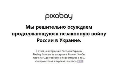 Как создать персонажа онлайн с помощью нейросетей: список сайтов и сервисов