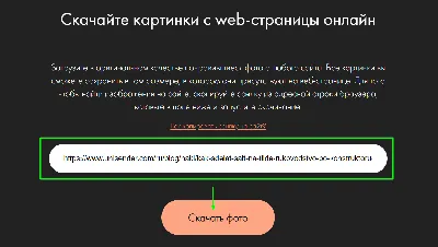 10 самых популярных нейросетей для создания картинок | Медиа Нетологии