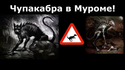 Чупакабра в подвале, черная чупакабра…» — создано в Шедевруме