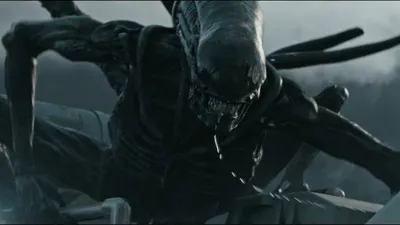 AVP (Вселенная Чужих и Хищников, Aliens vs. Predator, Чужой против Хищника)  / смешные картинки и другие приколы: комиксы, гиф анимация, видео, лучший  интеллектуальный юмор.