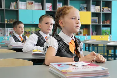 Когда в Украине дети будут учиться в школе 12 лет: подробности