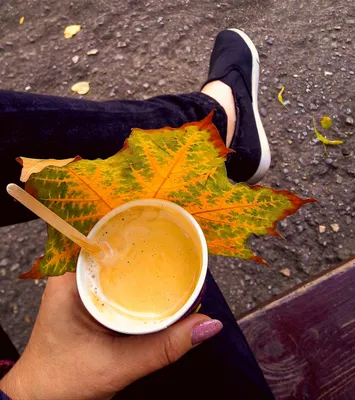 Руки с кофе осенью - 65 фото