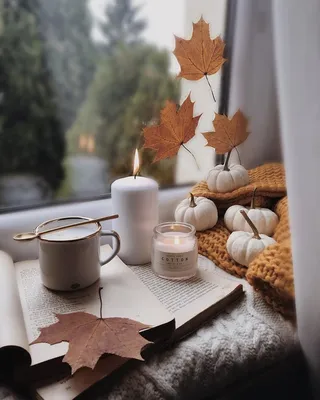 Чашка чая или кофе в руках цветов, листьев осенью в выходные дни осени  уютных красивых характер осенью лист Стоковое Фото - изображение  насчитывающей эспрессо, октябрь: 199139548
