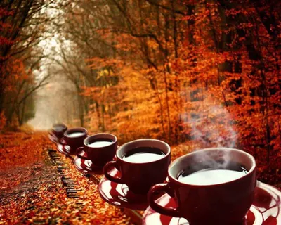 Руки с кофе осенью - 65 фото