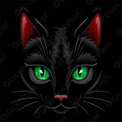 Black Cat (Черная Кошка)