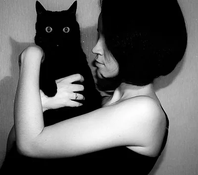 Почему черные кошки приносят несчастья - Оракул - info.sibnet.ru