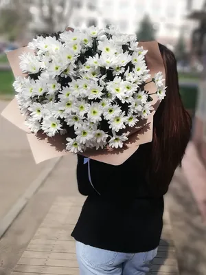 Каждая девушка с ромашками в руках выглядит замечательно🌼 С первыми  майскими вас, друзья🌿 ❀ Приглашаем за букетами для самых важных и… |  Instagram