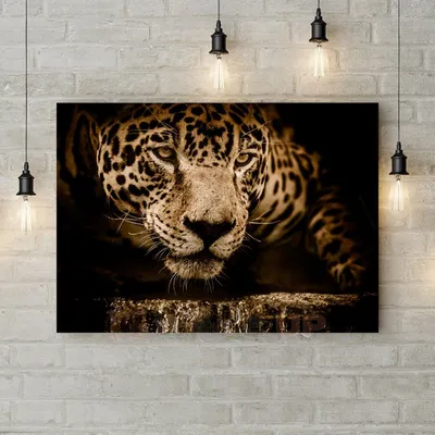 Современная картина, картины на стену в спальню, подарок девушке на день  влюбленных Взгляд ягуара, 70х50 см (ID#1823715428), цена: 579 ₴, купить на  Prom.ua
