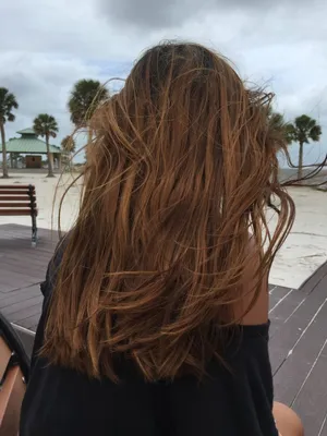 Девушки со спины с коричневыми волосами (35 лучших фото)