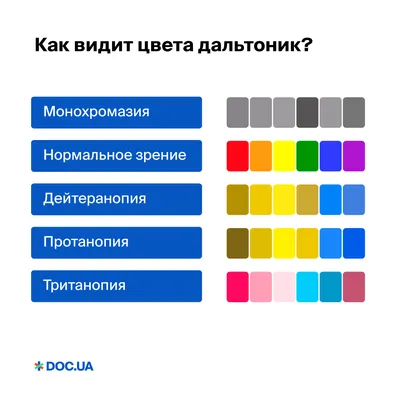 Тест на дальтонизм. Таблица Рабкина (полное описание)