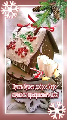 Доброго утра. Мирного дня! - Мудрая бабулечка | Facebook