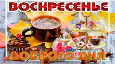 Красивые пожелания с добрым утром: стихи, проза, открытки - МЕТА