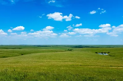 Жертвы фотошопа, которые \"немного\" переборщили с редактированием