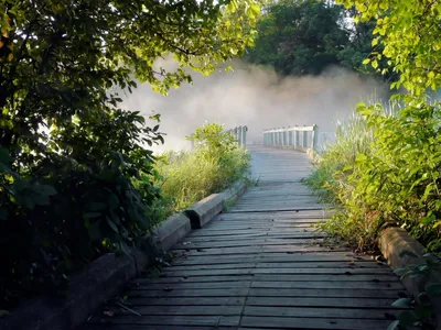 Уловки фотошопа