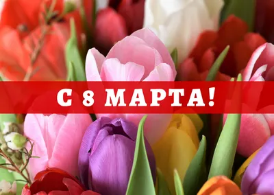 Дорогие женщины! Поздравляем вас с Днём 8 марта! – Новости «Термовилла»